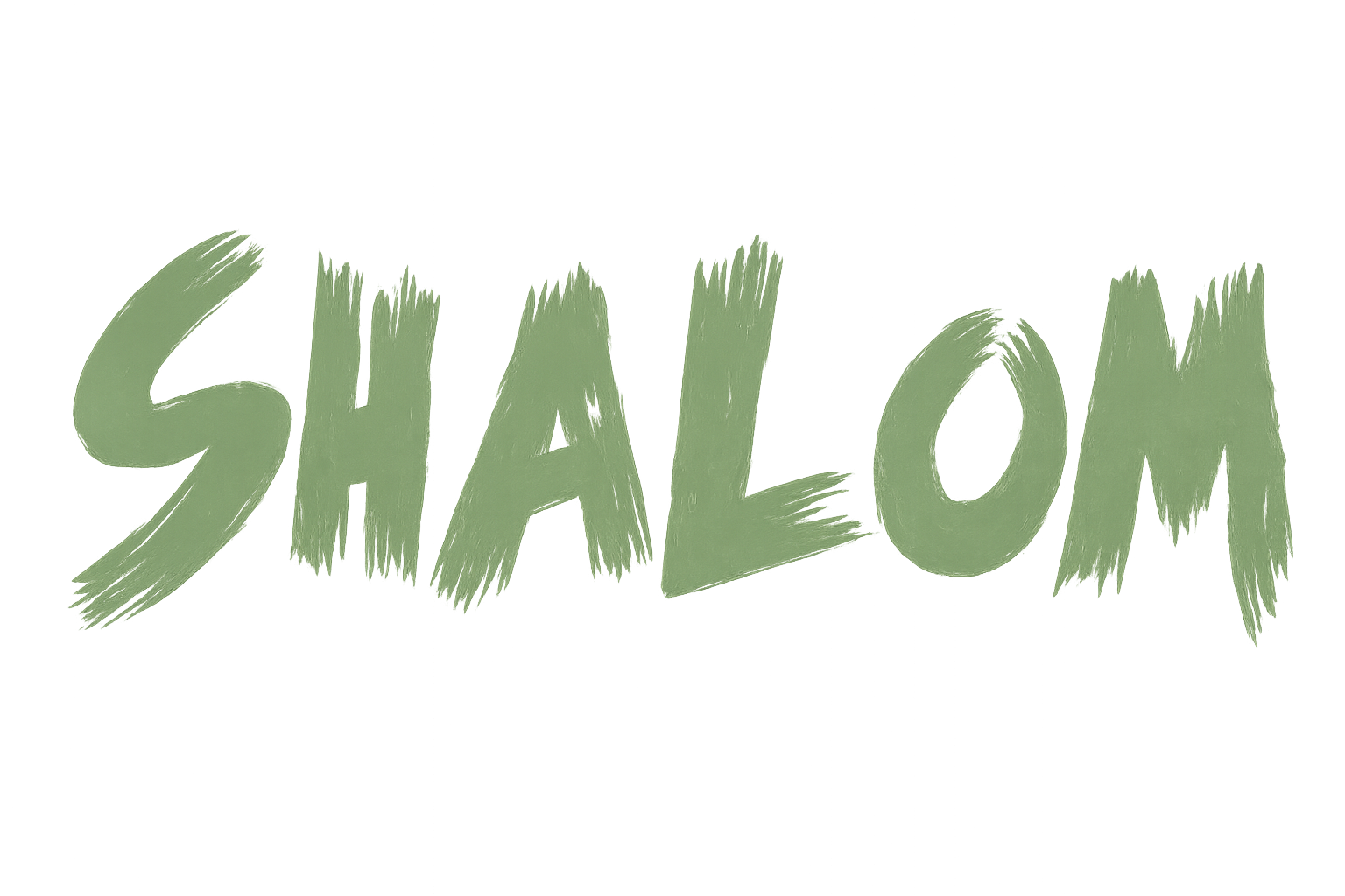 Shalom System Solutions